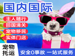 德宏航空快运国际宠物托运 【国